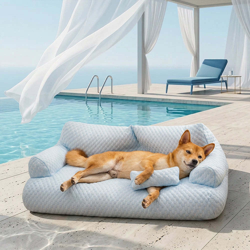 Green anti-scratch pet sofa bed for small dogs