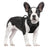 Reflective padded Oxford dog harness vest, product image 4