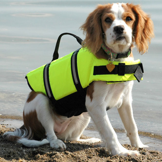 Dog life jacket with reflective strips, available in 17 colours, image 7