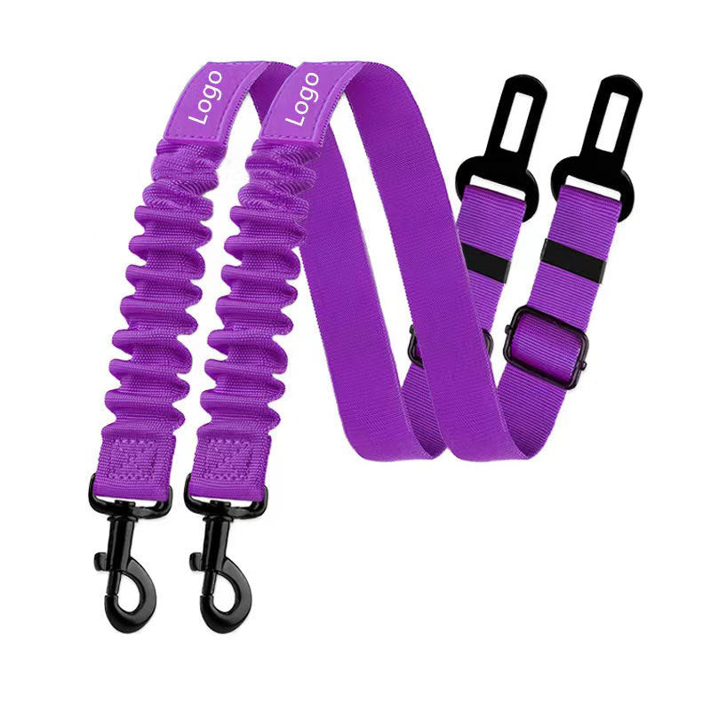 Dog car safety lead clipped to back seat belt for secure travel
