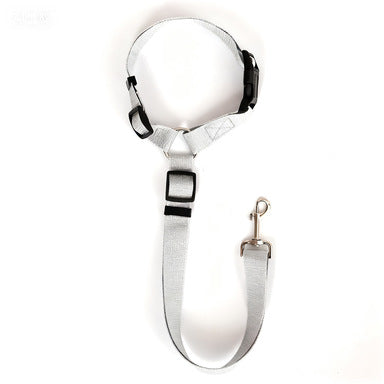 Adjustable nylon pet tether lead, ideal for everyday use