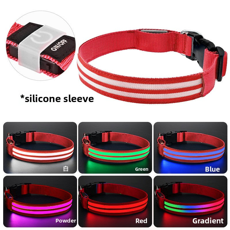 Fibre optic LED dog collar glowing in the dark, product image 23
