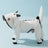 Four leg waterproof dog raincoat, available in 15 styles, image 65
