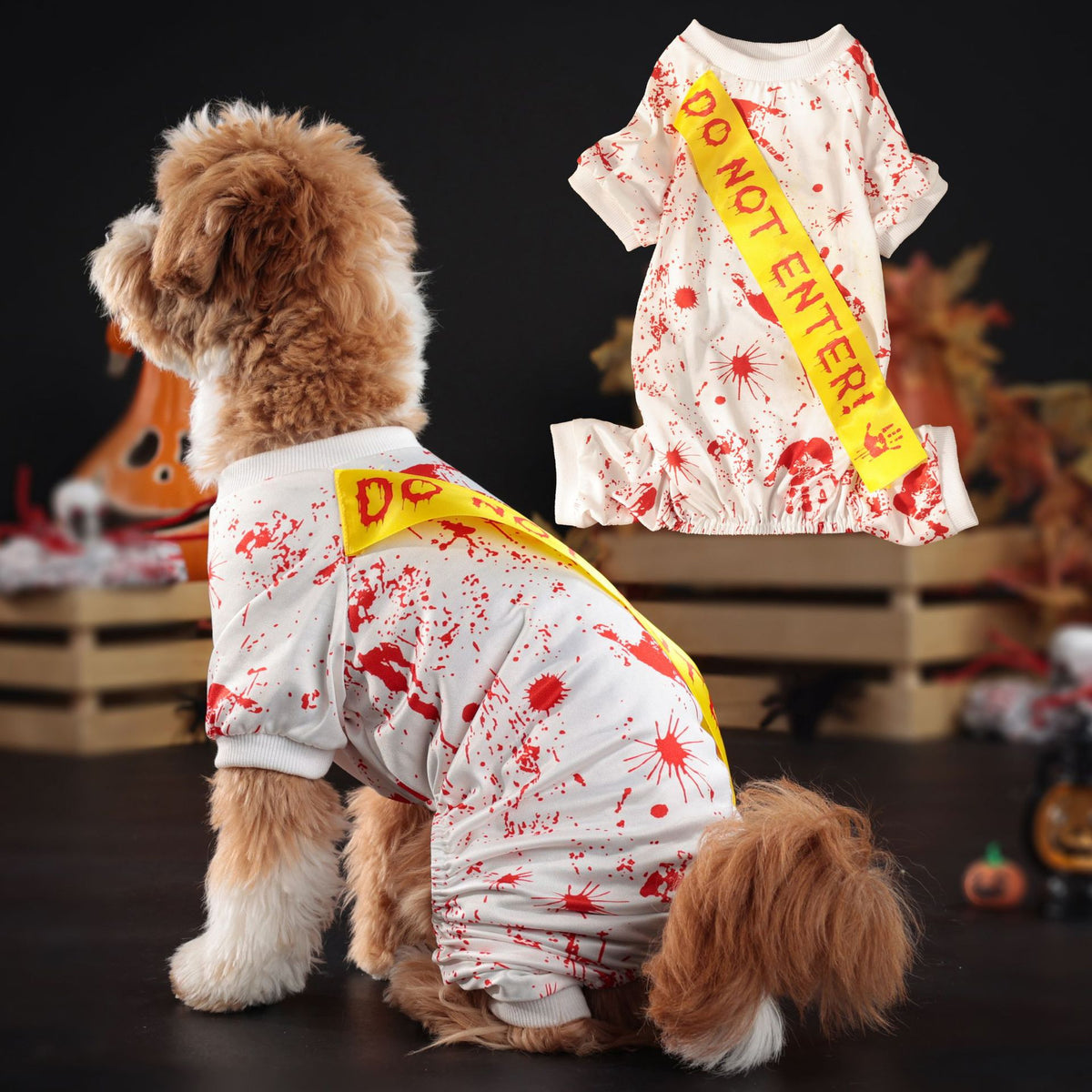 Four leg suit and skirt styles of a spooky pet costume