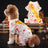 Four leg suit and skirt styles of a spooky pet costume