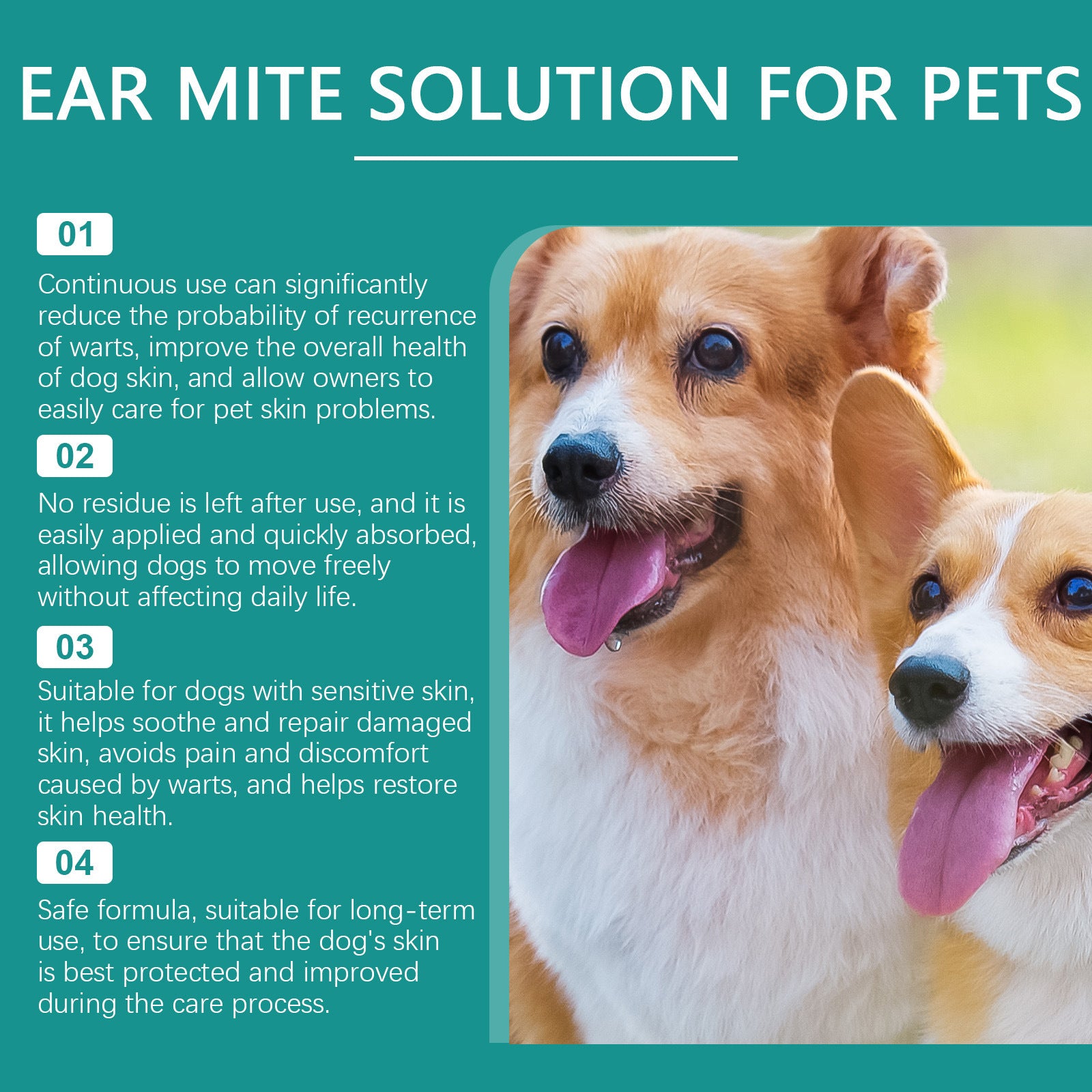 Gentle Daily Skin Care Solution for Dogs, External Use