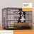 Small dog crate with separate toilet area, further angle view