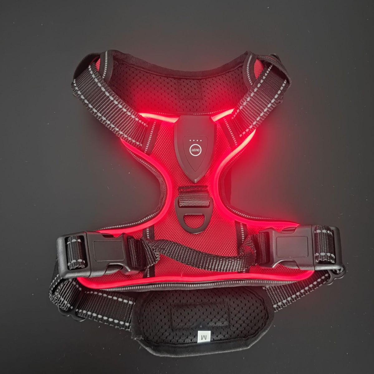 Light up fibre optic dog harness glowing at night, view 1