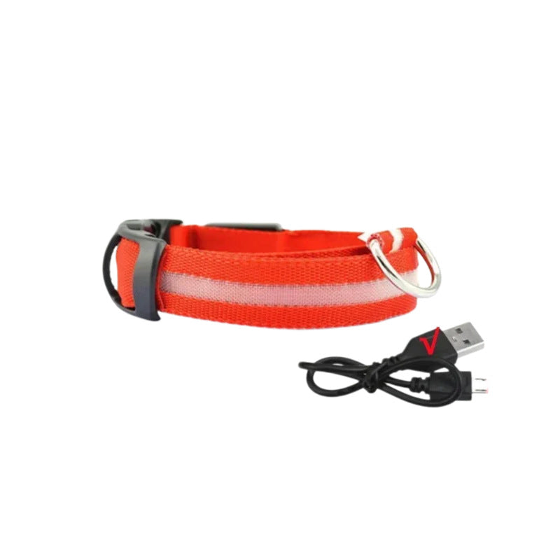 Reflective LED dog collar with USB charging in Green, in a home setting