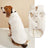 Small dog in a navy padded button up vest