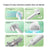 All-in-One Pet Hair Dryer and Comb with Adjustable Temperature and Quiet DC Motor