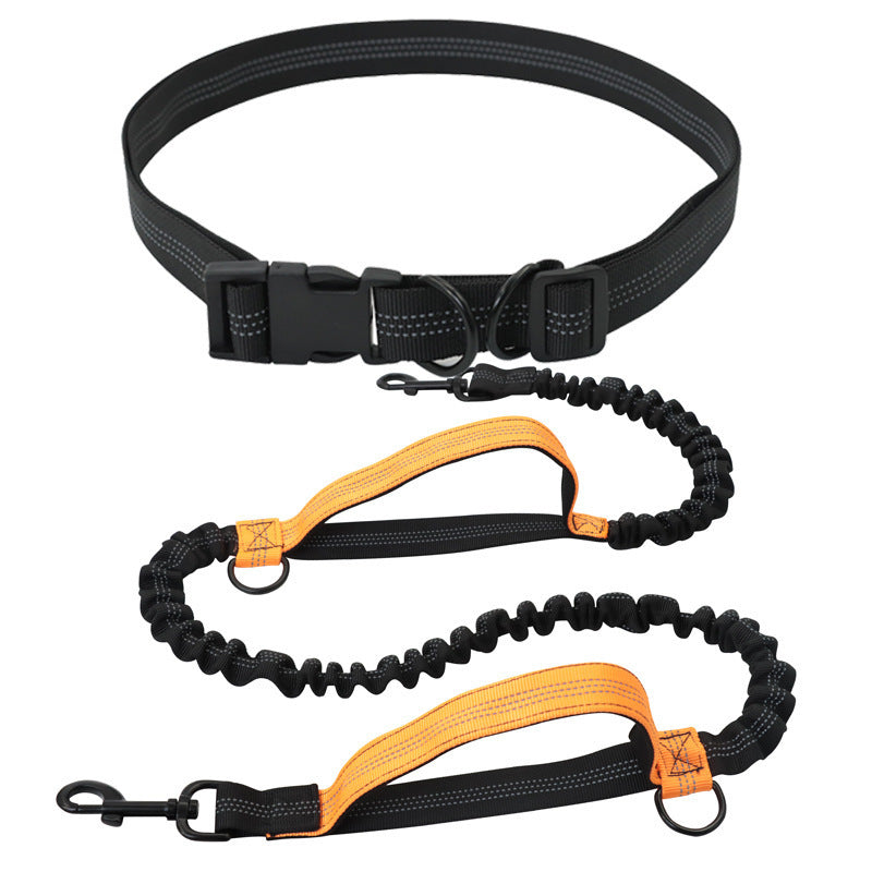Hands-free running lead with waist belt in 5 colour options