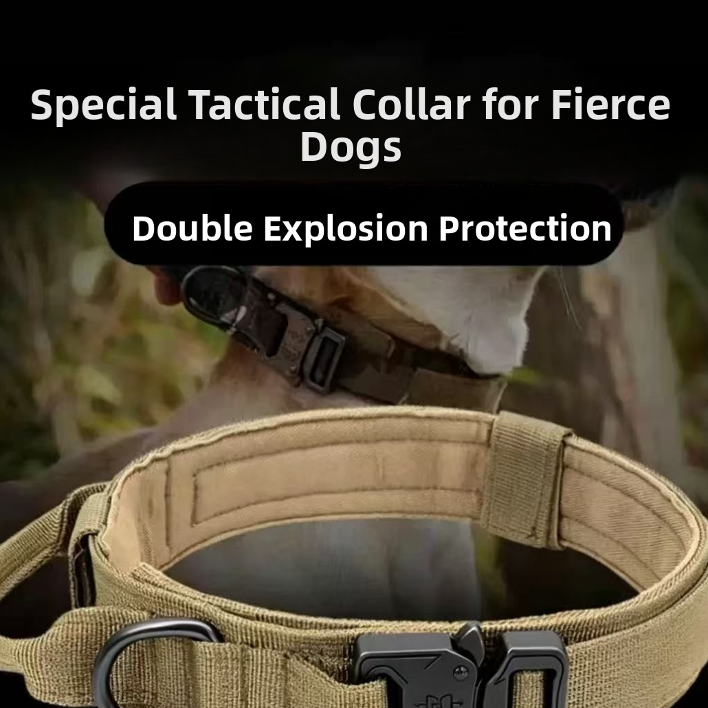 Tactical nylon dog collar with handle, main product photo