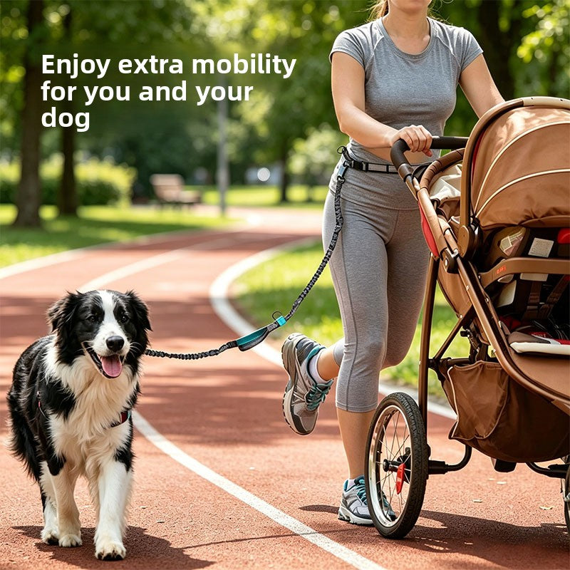 Hands-free dog running lead with waist belt in 5 colour options