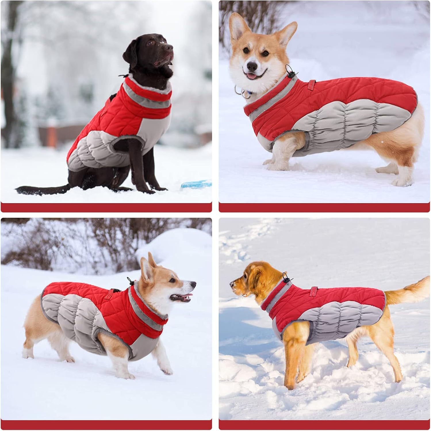 Windproof fleece lined padded dog coat in Red and Grey, front view