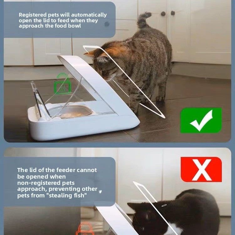 pet feeder