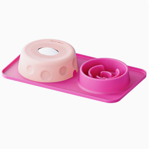 Silicone Slow Feeder Dog Bowl and Licking Mat