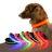 LED mesh dog collar with light modes in Black with Multicolour Light, top view