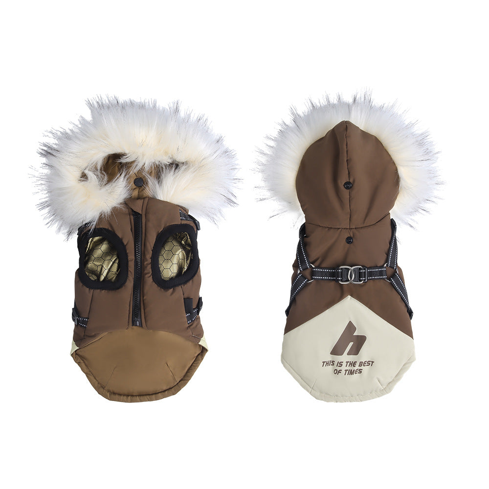 Hooded padded dog jacket with faux fur collar in Royal Blue, in a home setting