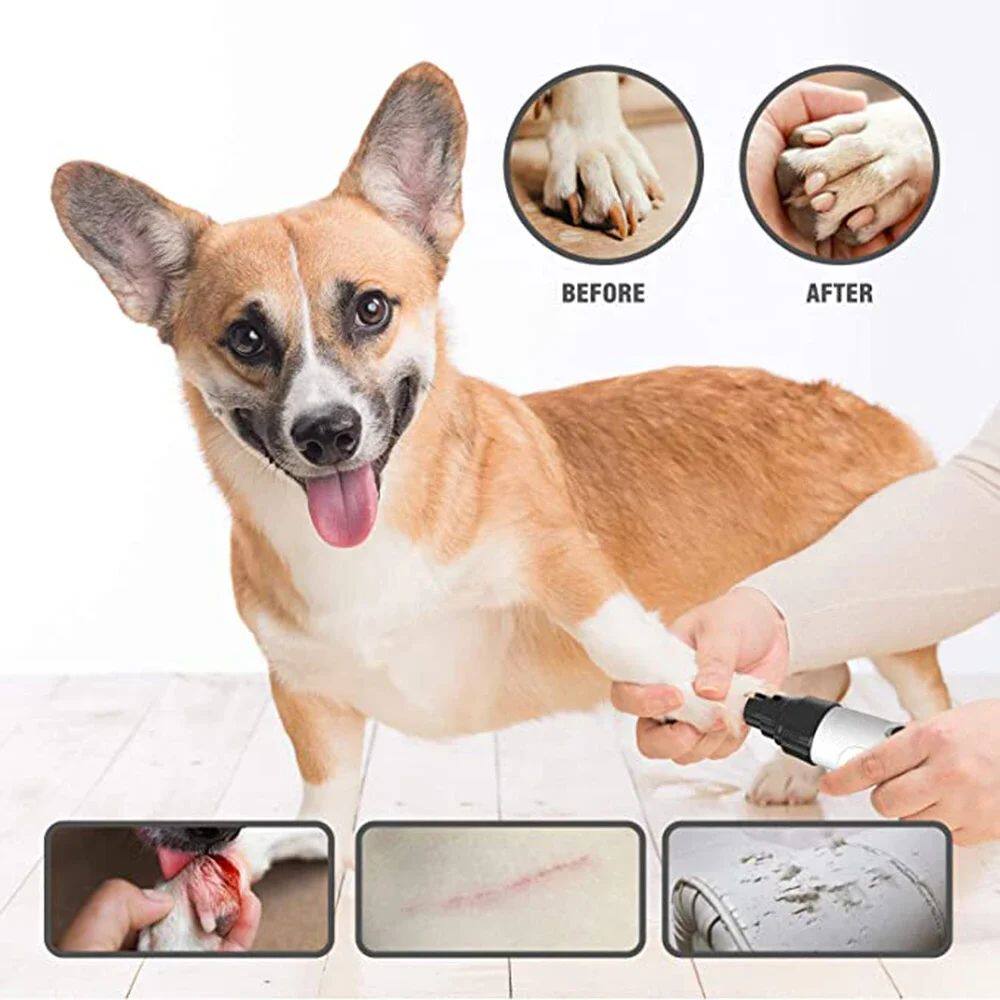 Electric Dog Nail Grinder with Spare Heads, Quiet Claw Polisher
