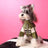 PU biker jacket for small dogs, available in 2 colours, image 9