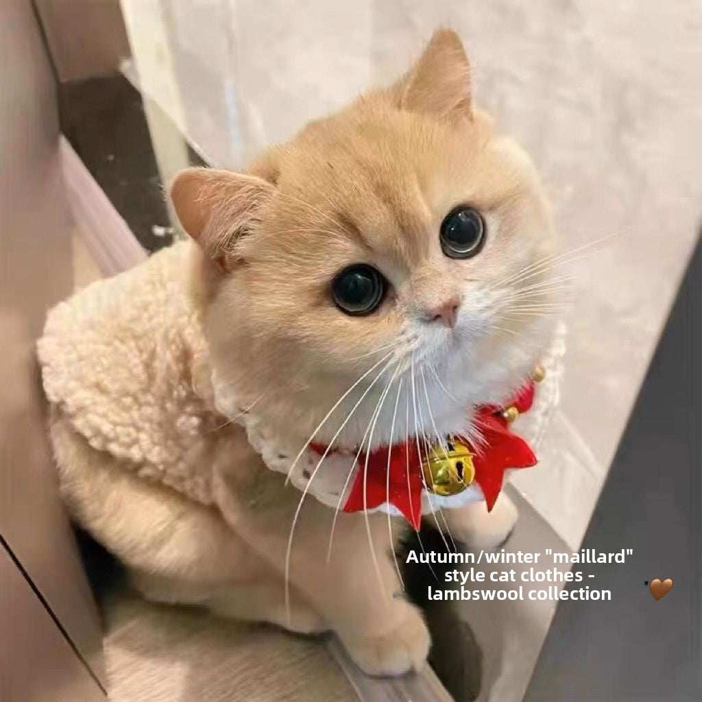 Faux lambswool pet vest with velvet lining in Caramel Latte, in a home setting