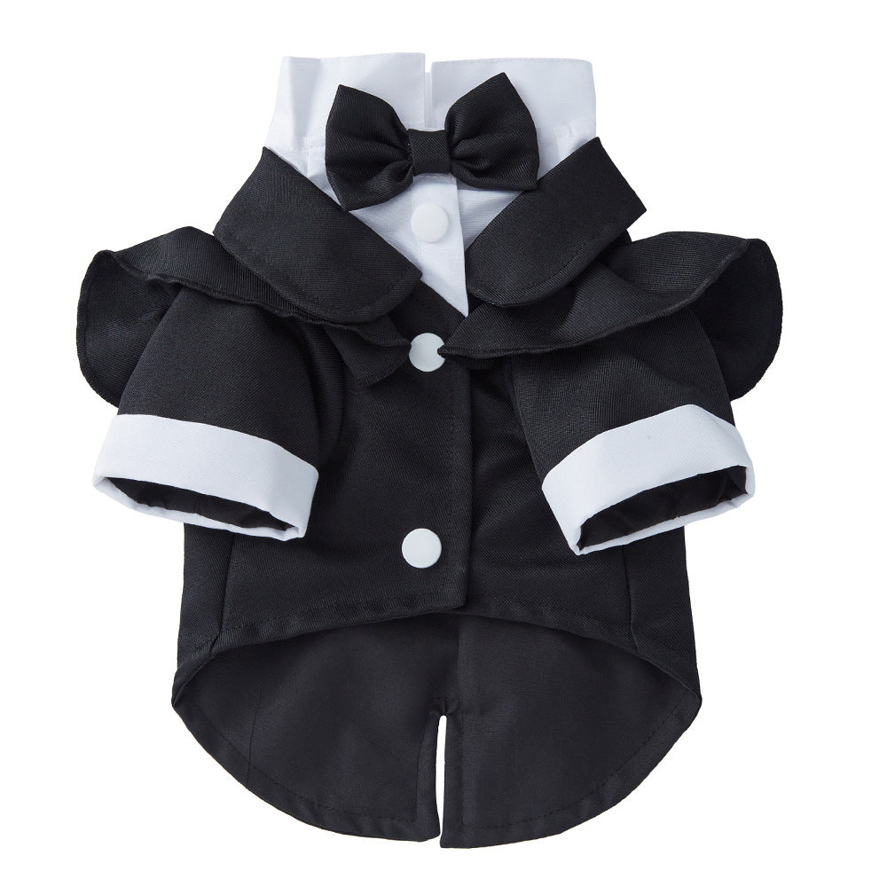 Formal dog suits with ties in a range of designs