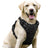 Reflective padded Oxford dog harness vest, product image 7