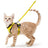 Breathable mesh reflective harness and lead set on a small cat