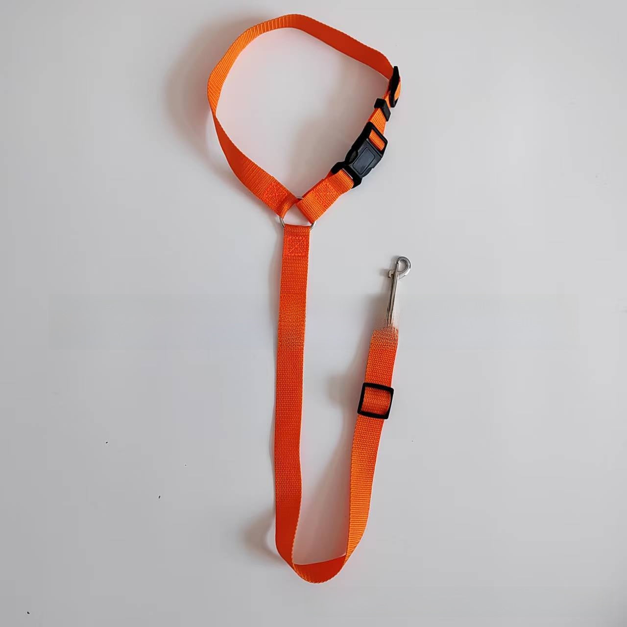 Pet car restraint looped around rear headrest for safe travel