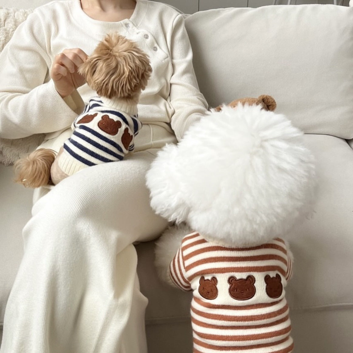 Striped knitted wool pet jumper in Chestnut Stripe, in a home setting