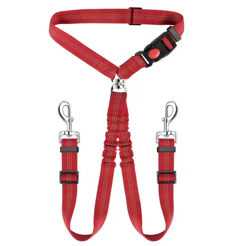 Elastic dog car safety lead, close-up detail view