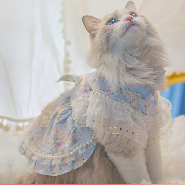 Sky blue Lolita dress for cats and small dogs in Sky Blue, front view