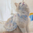 Sky blue Lolita dress for cats and small dogs in Sky Blue, front view