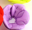 Soft sponge pet recovery collar in rainbow colours on a cat