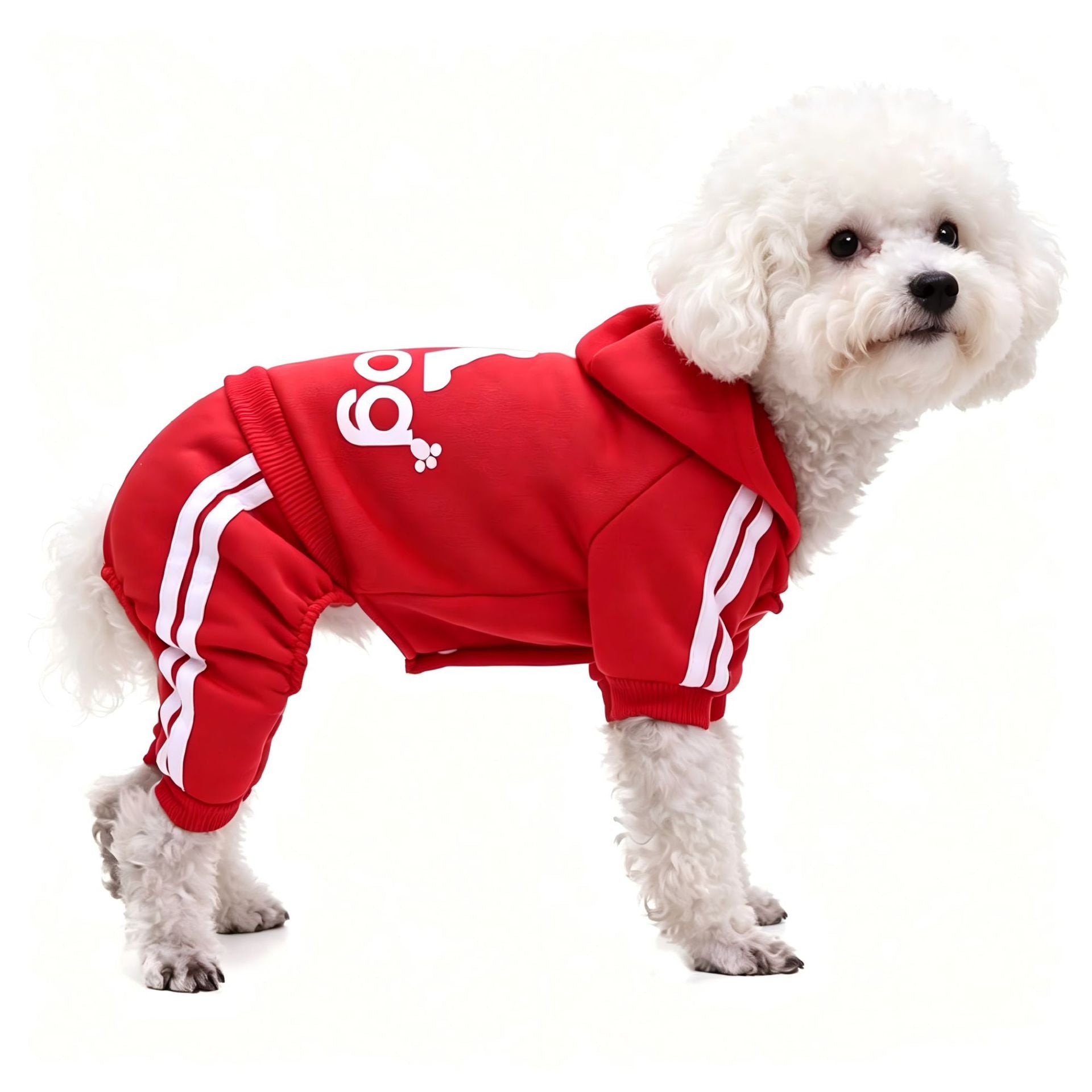 Small dog wearing a red four leg button up hoodie