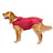 Hooded reflective nylon rain poncho for large dogs, product image 3