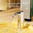 Automatic Circulating Pet Water Dispenser with Filter