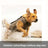 Camouflage neoprene dog vest for field and outdoor walks, view 1