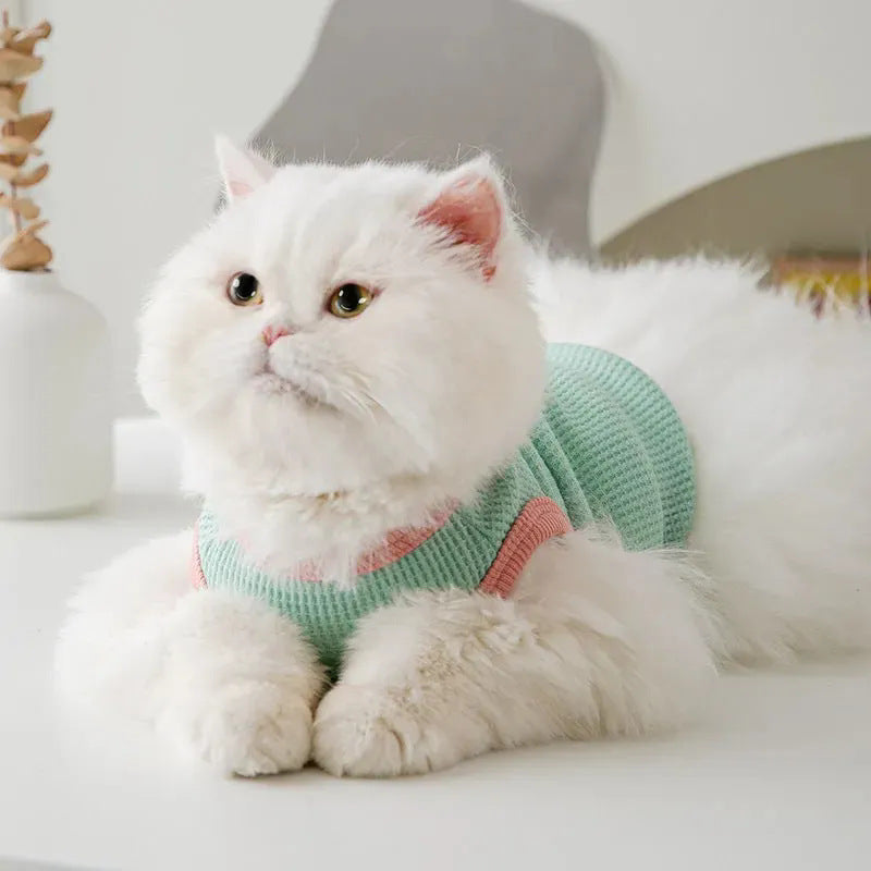 Lucky cat and bear print vest for pets for dogs and cats, image 1