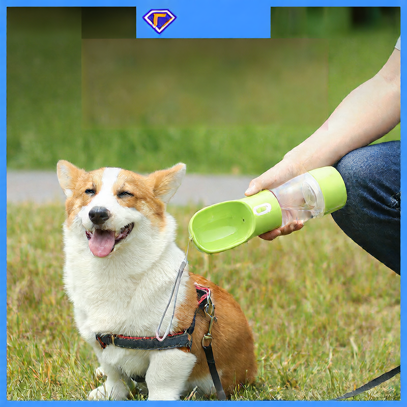 Portable Outdoor Dog Water Bottle