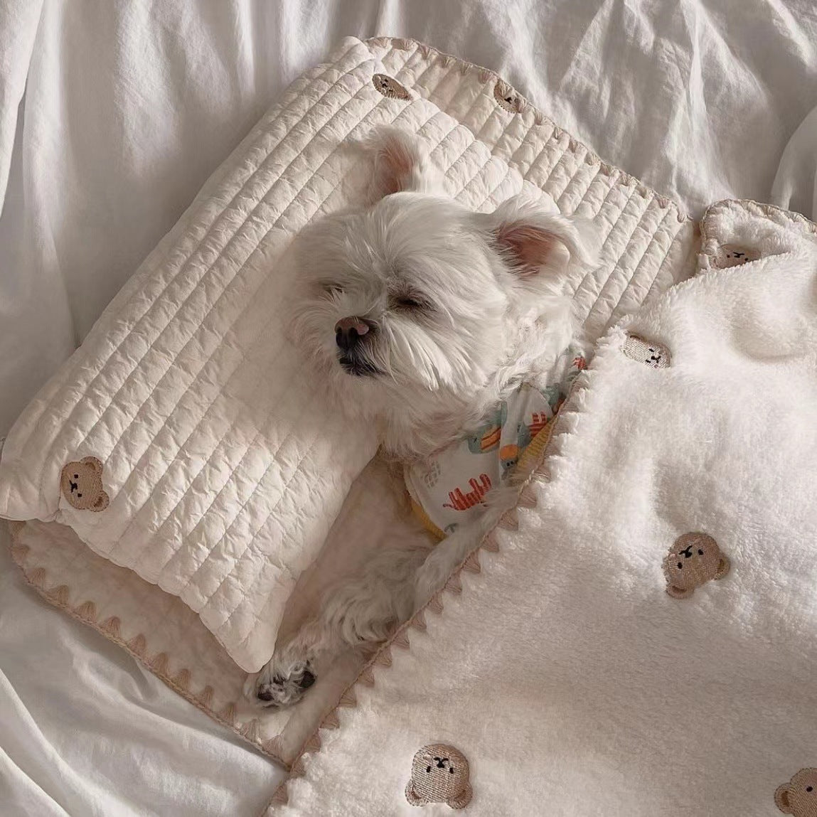 Washable dog bed set with pillow mat and blanket, photo 7 of 7
