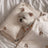 Washable dog bed set with pillow mat and blanket, photo 7 of 7