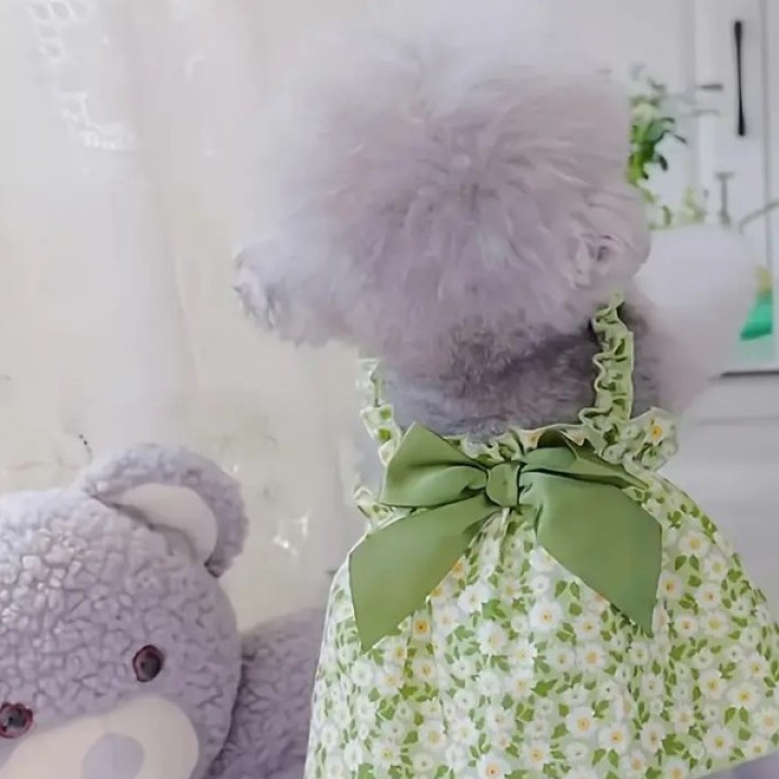 Daisy print strap dress for dogs and cats, available in 5 colours, image 1