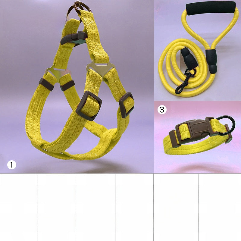 Padded nylon dog harness set with matching collar and lead in red