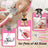 7-Piece Dog Grooming Kit with Stainless Steel Combs and Nail Cutter