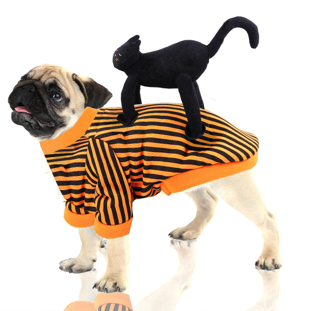 Halloween pet costumes in black cat and orange stripes