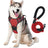 Reflective burst-resistant dog harness, main product photo from Pet Royale UK