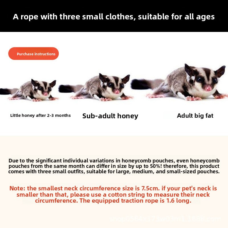 Escape-resistant faux leather lead for sugar gliders and hamsters, product image 4