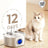 Cat fountain water dispenser